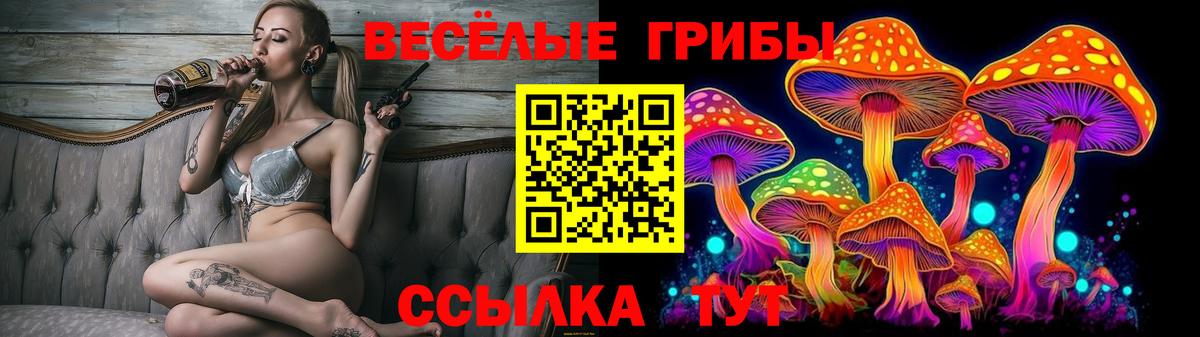 Камышин  Псилоцибиновые грибы Cubensis  Вход с VPN 
