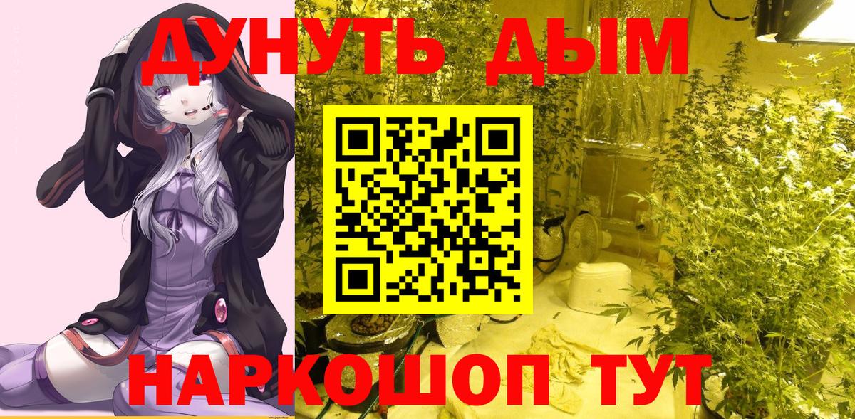 Марихуана индика  Бошки марихуана индика  МАРИХУАНА конопля  Вход с VPN  Камышин 