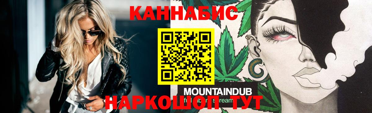 Бошки Шишки планчик Камышин